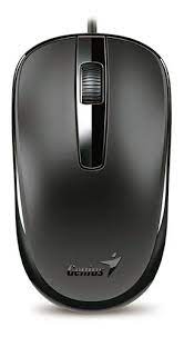 MOUSE GENIUS DX-120 USB NEGRO 