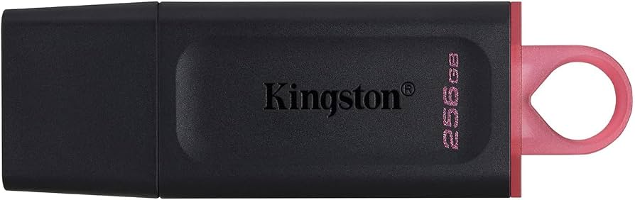 PENDRIVE KINGSTON 256GB USB 3.2 DATATRAVELER EXODIA DTX/256GB 