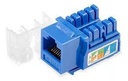 KEYSTONE JACK CAT 6 WIREPLUS AZUL
