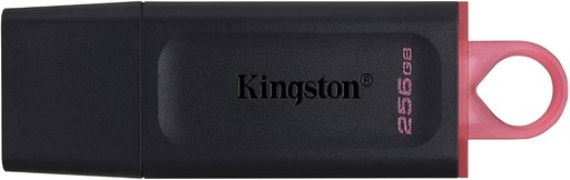 [01977] PENDRIVE KINGSTON 256GB USB 3.2 DATATRAVELER EXODIA DTX/256GB 