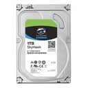 [01057] DD 3.5" 10TB SEAGATE SKYHAWK